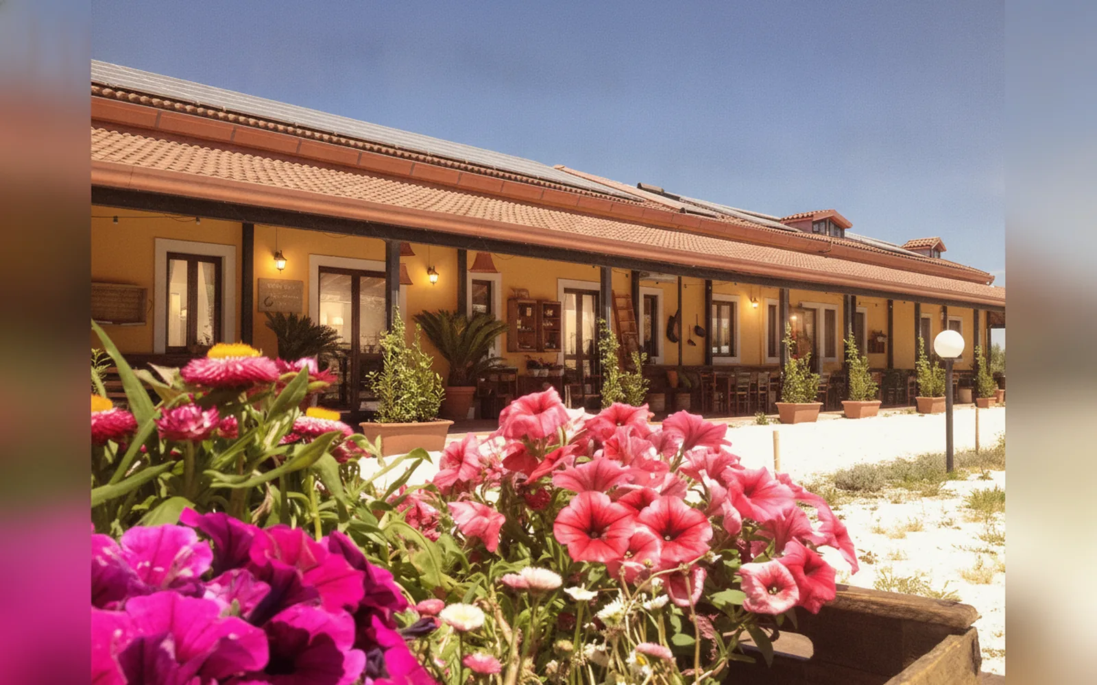 Agriturismo B&B Casale Torre San Magno, Corato (Puglia) — galleria foto 30