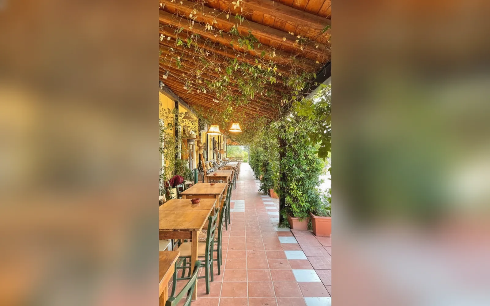 Agriturismo B&B Casale Torre San Magno, Corato (Puglia) — galleria foto 40