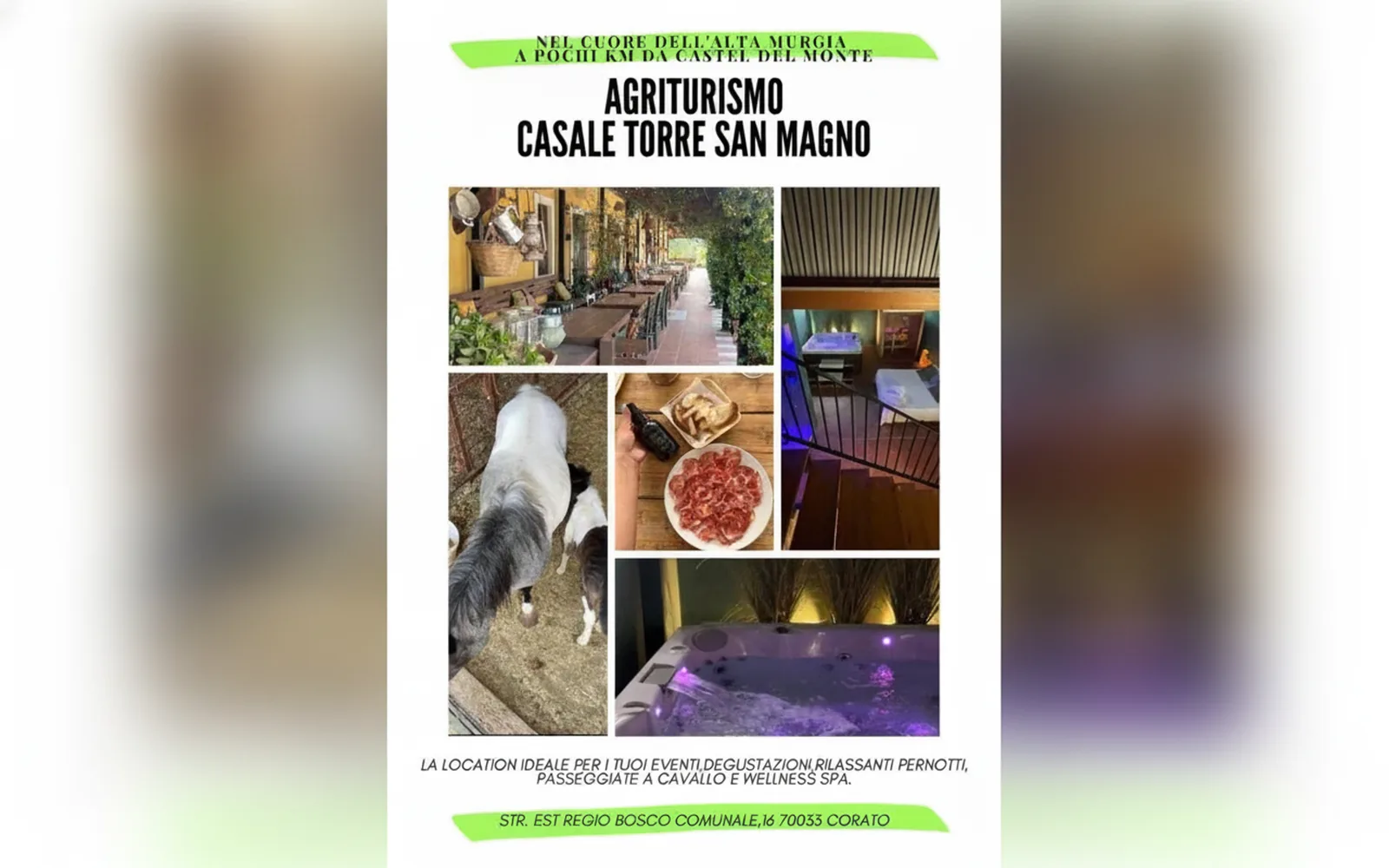 Agriturismo B&B Casale Torre San Magno, Corato (Puglia) — galleria foto 41
