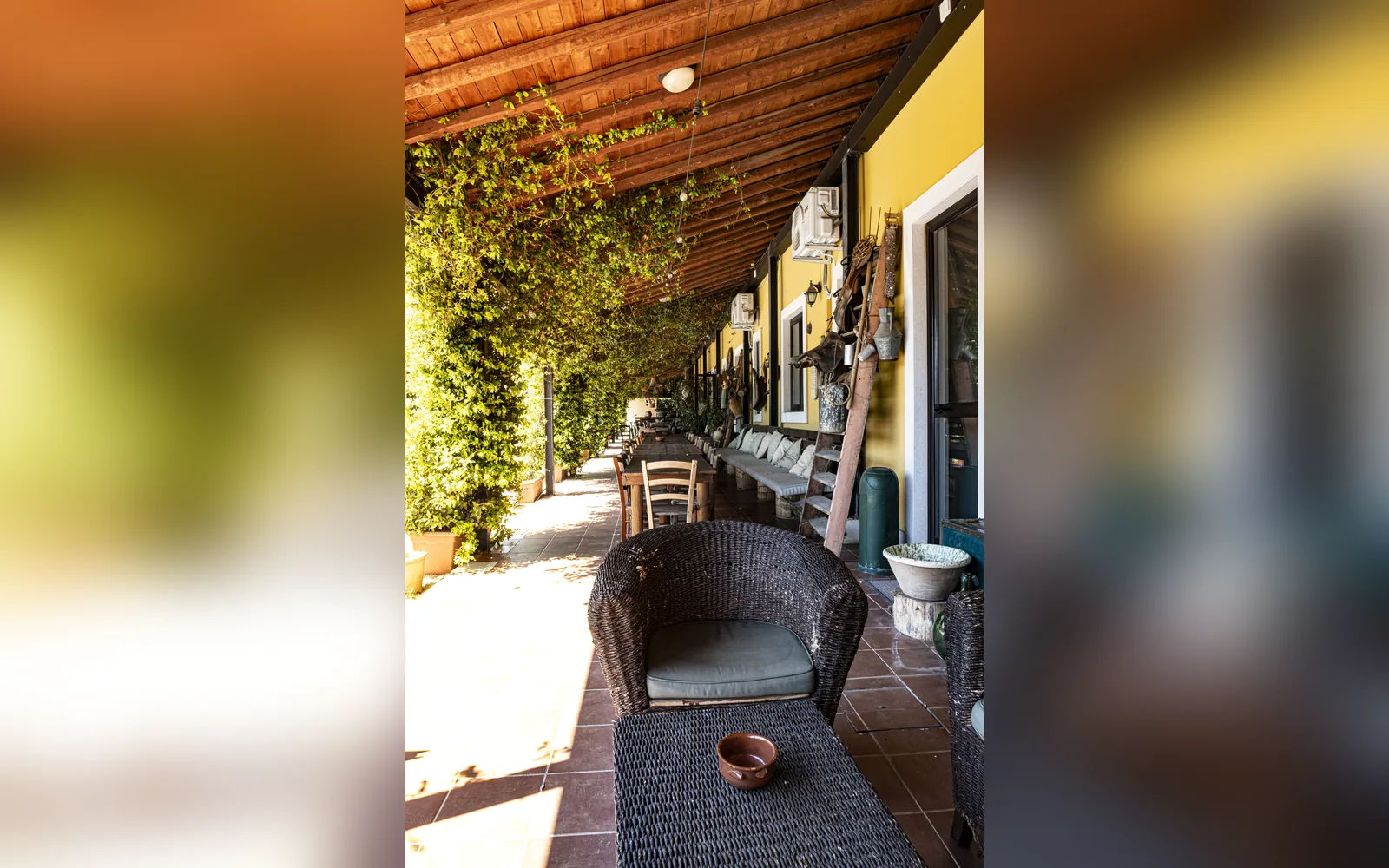 Agriturismo B&B Casale Torre San Magno, Corato (Puglia) — galleria foto 90